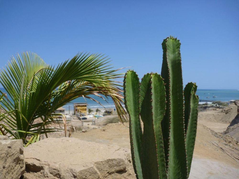 Oceanic Bungalows Los Órganos Extérieur photo